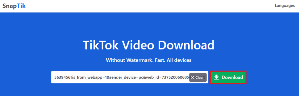 Download the TikTok Video
