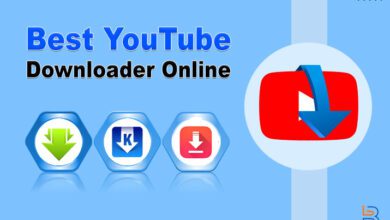 Best YouTube Downloader Online