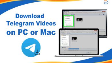 Download Telegram Videos on PC or Mac