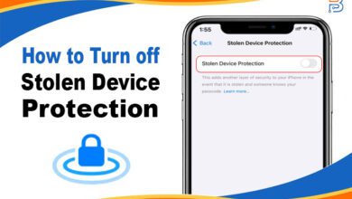 How to Turn off Stolen Device Protection for iPhone