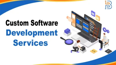 Custom Software Development Services